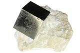 Shiny, Natural Pyrite Cube In Rock - Navajun, Spain #118267-1